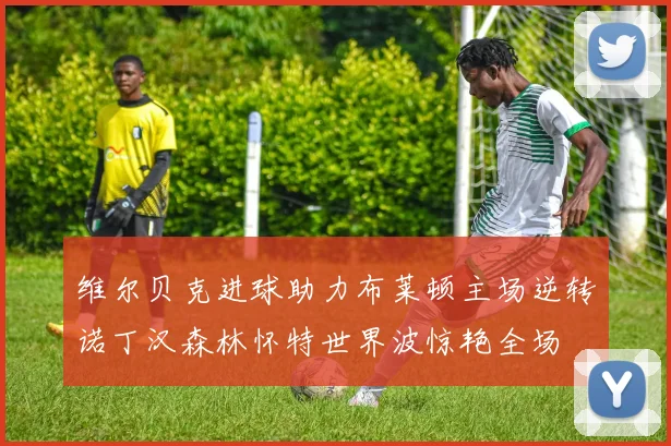 维尔贝克进球助力布莱顿主场逆转诺丁汉森林怀特世界波惊艳全场